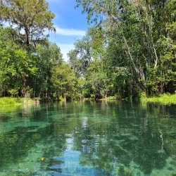 Ichetucknee Springs State Park - Lake City