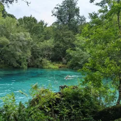 Ichetucknee Springs State Park - Lake City