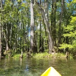Ichetucknee Springs State Park - Lake City