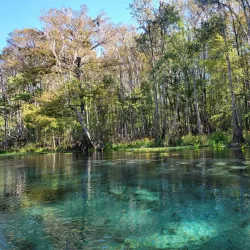 Ichetucknee Springs State Park - Lake City
