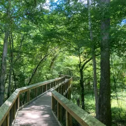 Ichetucknee Springs State Park - Lake City