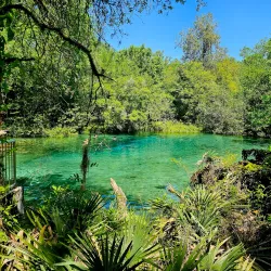Ichetucknee Springs State Park - Lake City