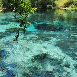Ichetucknee Springs State Park - Lake City