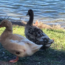 Lake City Columbia County Historical Museum - Lake City