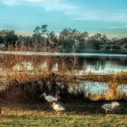 Lake DeSoto Park - Lake City