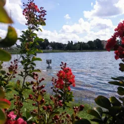 Lake DeSoto Park - Lake City