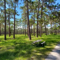 Olustee Battlefield Historic State Park - Lake City