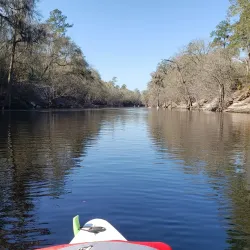 Stephen Foster Folk Culture Center State Park - Lake City