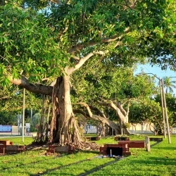 Bryant Park - Lake Worth