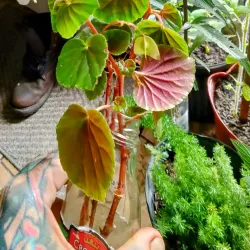 Downtown Lake Worth - Lake Worth