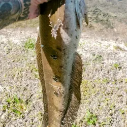 Downtown Lake Worth - Lake Worth