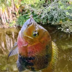 Lake Worth Beach - Lake Worth