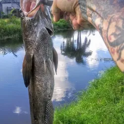 Lake Worth Beach - Lake Worth