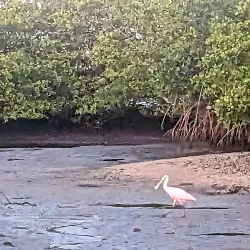 Lake Worth Lagoon - Lake Worth