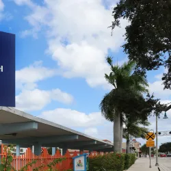 Pineapple Grove Arts District - Lake Worth