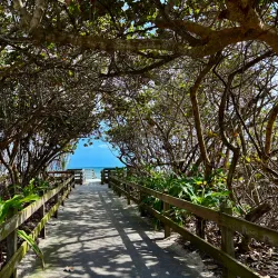 Seagull Park - Lake Worth