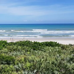 Seagull Park - Lake Worth