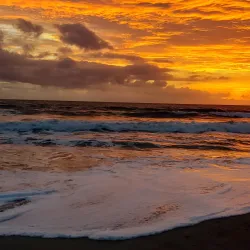 Seagull Park - Lake Worth