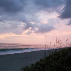 Seagull Park - Lake Worth