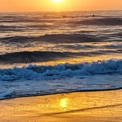 Seagull Park - Lake Worth