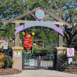 Common Ground Playground - Lakeland