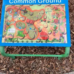 Common Ground Playground - Lakeland
