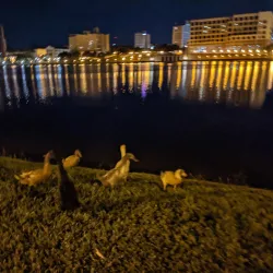 Lake Mirror Park - Lakeland