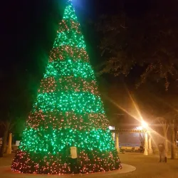 Lake Mirror Park - Lakeland