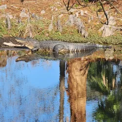 Lake Parker Park - Lakeland