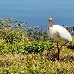 Lake Parker Park - Lakeland