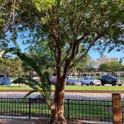 Munn Park Historic District - Lakeland