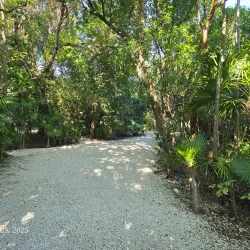 Crane Point Hammock Museum and Nature Trail - Marathon