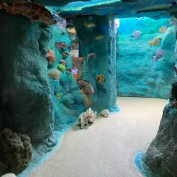 Crane Point Hammock Museum and Nature Trail - Marathon