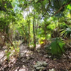 Curry Hammock State Park - Marathon