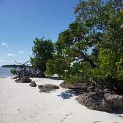 Curry Hammock State Park - Marathon