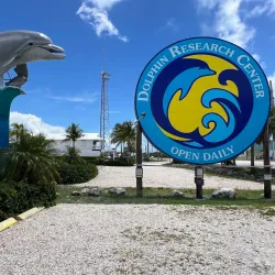Dolphin Research Center - Marathon