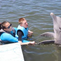 Dolphin Research Center - Marathon