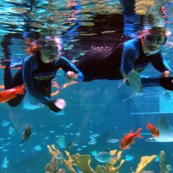 Florida Keys Aquarium Encounters - Marathon