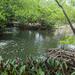 Florida Keys Aquarium Encounters - Marathon