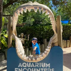 Florida Keys Aquarium Encounters - Marathon