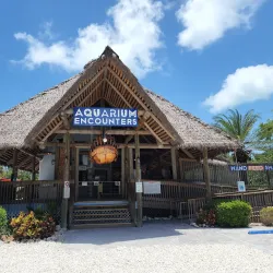 Florida Keys Aquarium Encounters - Marathon