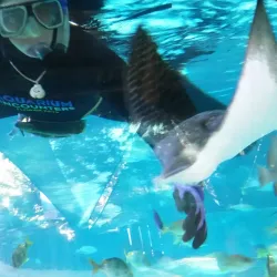 Florida Keys Aquarium Encounters - Marathon