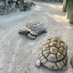 Florida Keys Aquarium Encounters - Marathon