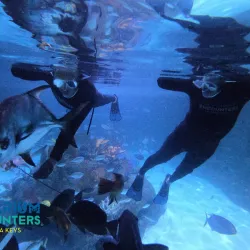 Florida Keys Aquarium Encounters - Marathon