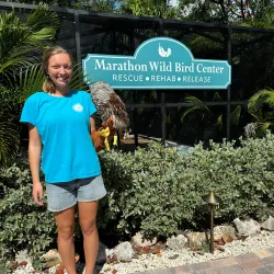 Marathon Wild Bird Center - Marathon