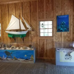 Marathon Wild Bird Center - Marathon