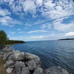 Marathon Wild Bird Center - Marathon