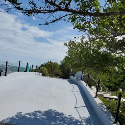 Marathon Wild Bird Center - Marathon