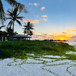 Sombrero Beach - Marathon