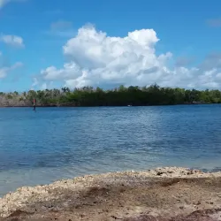 Sombrero Beach - Marathon